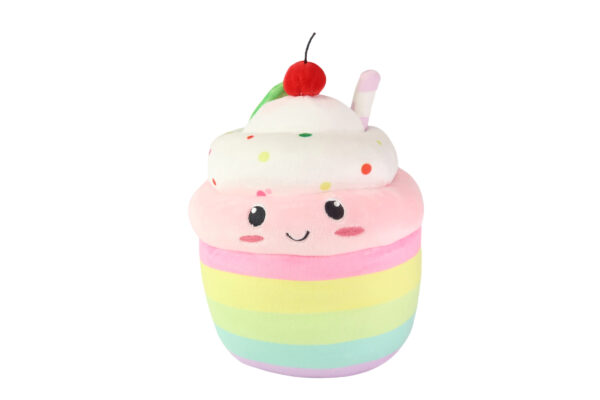 10 Inch Rainbow Ice Cream